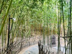 -竹子庵公园