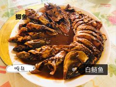 -金台阶鱼馆(于桥水库店)