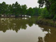 -上海海湾国家森林公园