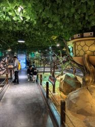 -酷嗒动物文化乐园(cutezoo西溪乐天城店)