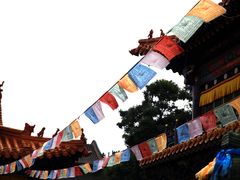 -大召无量寺