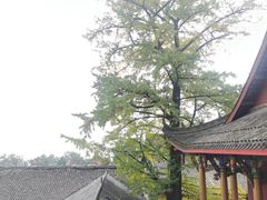 -金堂县云顶石城风景区