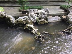 -普陀山风景名胜区-法雨禅寺