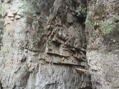 -九龙潭景区