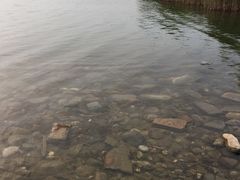 -绿堤公园