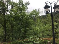 -楠柏弯休闲山庄(梨花溪店)