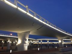 -演武大桥观景平台