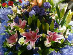 android_upload_pic-盛世荣兰花艺