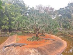 -海南热带野生动植物园
