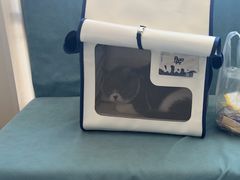-德元·美联众合24小时动物医院(总院)