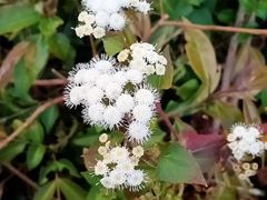 -马路边边麻辣烫联盟路店