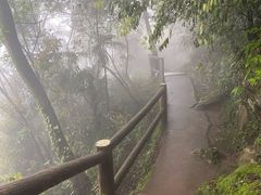 -青城山