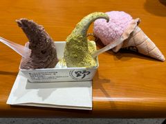 -野人先生现做冰淇淋(北京环宇荟店)