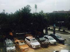 -姜家大院(柯桥店)