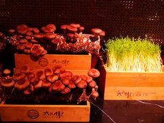 -大头椰·椰子鸡火锅(新梦店)