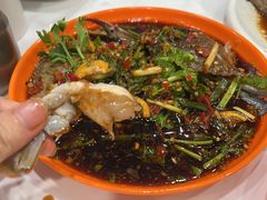 -澳门陈光记烧味饭店(南京德基广场店)