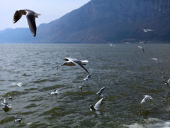 -海埂大坝
