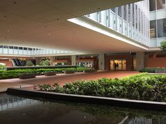 -香港大学