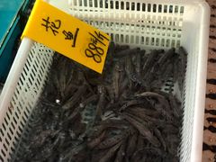 花鱼-崖口红树林海鲜餐厅