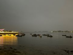 -野狸岛