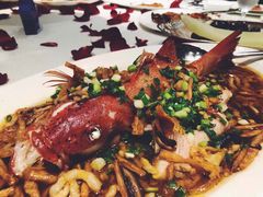 东星斑-皇朝会.经典传统粤菜(外滩店)