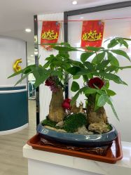 -白博士祛痘·皮肤管理中心