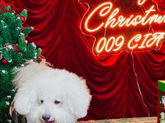 -佛山京华广场MALL