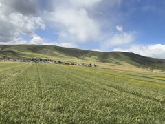 -青海湖国家重点风景名胜区