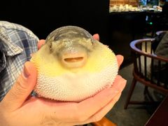 -永安鱼庄·镇江菜(东吴路店)