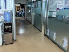 -宠颐生中康贝怡动物医院