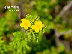 -吉林大学(南岭校区)