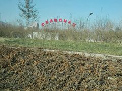 -爱玛裕家居购物广场