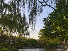 -石家庄市植物园
