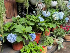 -龙姐私房菜(和顺古镇店)