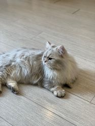 -Beauty Nails 美甲美睫皮肤管理