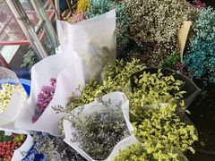 -金科花卉市场