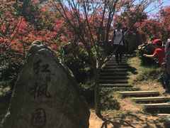 -广州市帽峰山景区