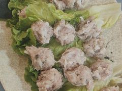 -麻奢鸽农庄·梦里水乡