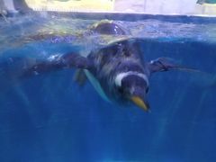 -华夏文旅西安度假区