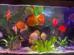 -上海海洋水族馆