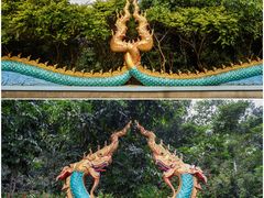 -西双版纳勐泐文化旅游区