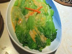 -点都德·毕德寮