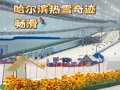 -哈尔滨热雪奇迹