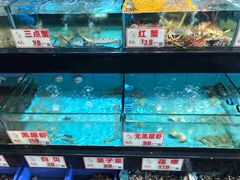 水产区-万山楼海鲜酒家·二十三年老字号