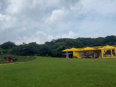 -济州森林小火车生态公园