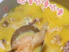 -禄婶鸡煲·打边炉