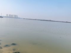 -瑶湖郊野森林公园