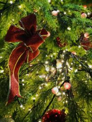 -幻贝家儿童乐园(苏州中心店)