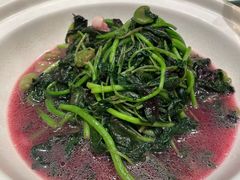 苋菜-西贝海鲜汇(槐安路店)