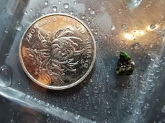 -嘉旺港式茶餐厅(延长中路店)